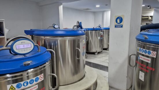 ¿Vale la pena guardar células madre del cordón umbilical? Qué dice la evidencia científica 9 Parque de frío del Banco de Células Madre MaterCell, en Argentina.